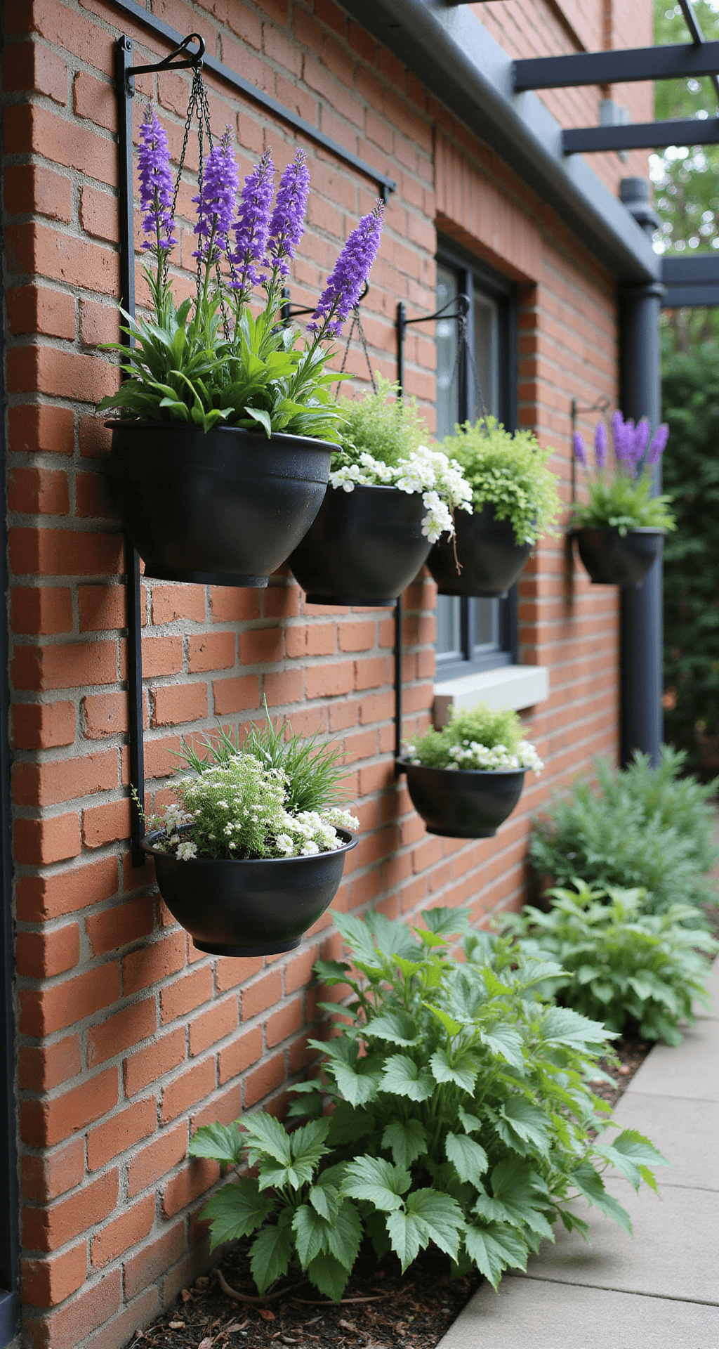 Intimate courtyard garden featuring a weathered brick wall with five black metal hanging baskets, showcasing upright purple salvias, white bacopa, and chartreuse creeping jenny, captured in soft diffused mid-morning light from a low angle.