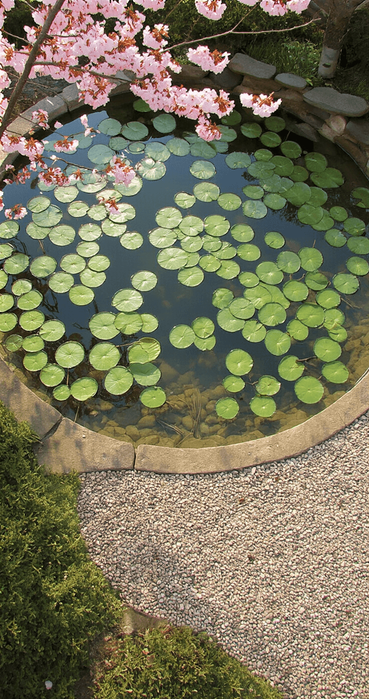 A bird's eye view of a 7ft informal pond in morning light, showcasing emerging water lily pads and fresh iris shoots. A shallow pebble beach attracts songbirds, while a recycled millstone fountain adds gentle movement. Cherry blossoms float on the water's surface, with a color palette of spring green, cherry pink, and clear aqua, emphasized by the circular design.
