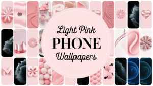 25 Stunning Light Pink Wallpaper Ideas for a Chic Home Decor light pink wallpaper