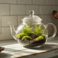 A vintage glass teapot terrarium filled with miniature ferns and emerald moss, illuminated by soft morning sunlight, set against white subway tiles and a weathered wooden shelf.