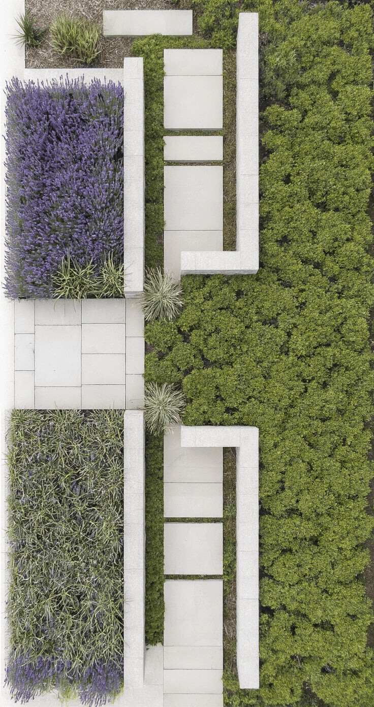 Overhead drone shot of a terraced front yard showcasing three granite stone walls that form distinct planting zones, each featuring different textures: lavender drift, ornamental grasses, and creeping thyme, with light limestone gravel pathways contrasting against lush green plantings.